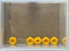 LEGO Parts - Bright Light Orange Plate, Round 1 x 1 Flower - No 24866 - QTY 5