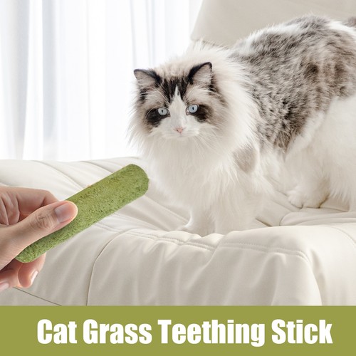 Cat Grass Sticks for Indoor Cats Freeze Dried Grass Treats for Indoor gorgeous - Picture 3 of 5