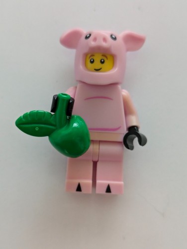LEGO® MINIFIGUR Neu zum Auswählen Serie 12 - LEGO #71007 - Bild 16 von 17