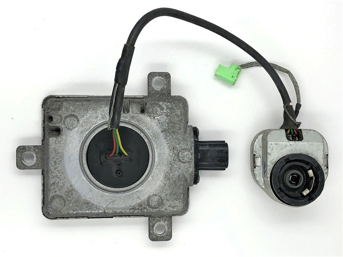 はーたん s-l1200.jpg