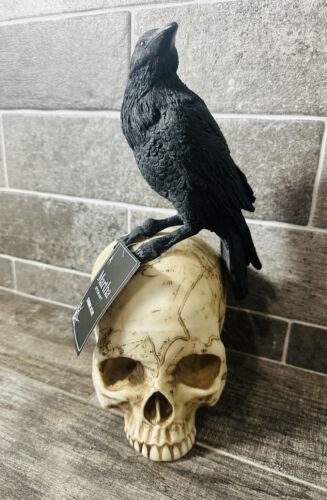 Martha Stewart Crow On Skull Resin Black Raven Figurine Halloween ...