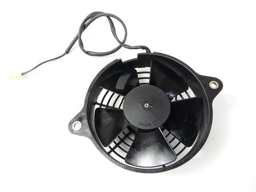 Lüfter Honda SH 125 JF14 Kühler cooler Ventilator fan