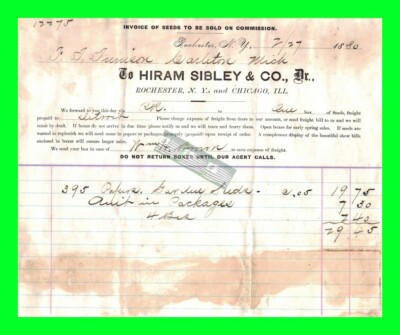 1880 Doctor Hiram Sibley & Co. Dr., Rochester NY & Chicago ILL. Letter Head Bill
