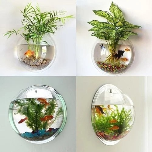 Stunning Wall Mounted Aquarium For Goldfish image