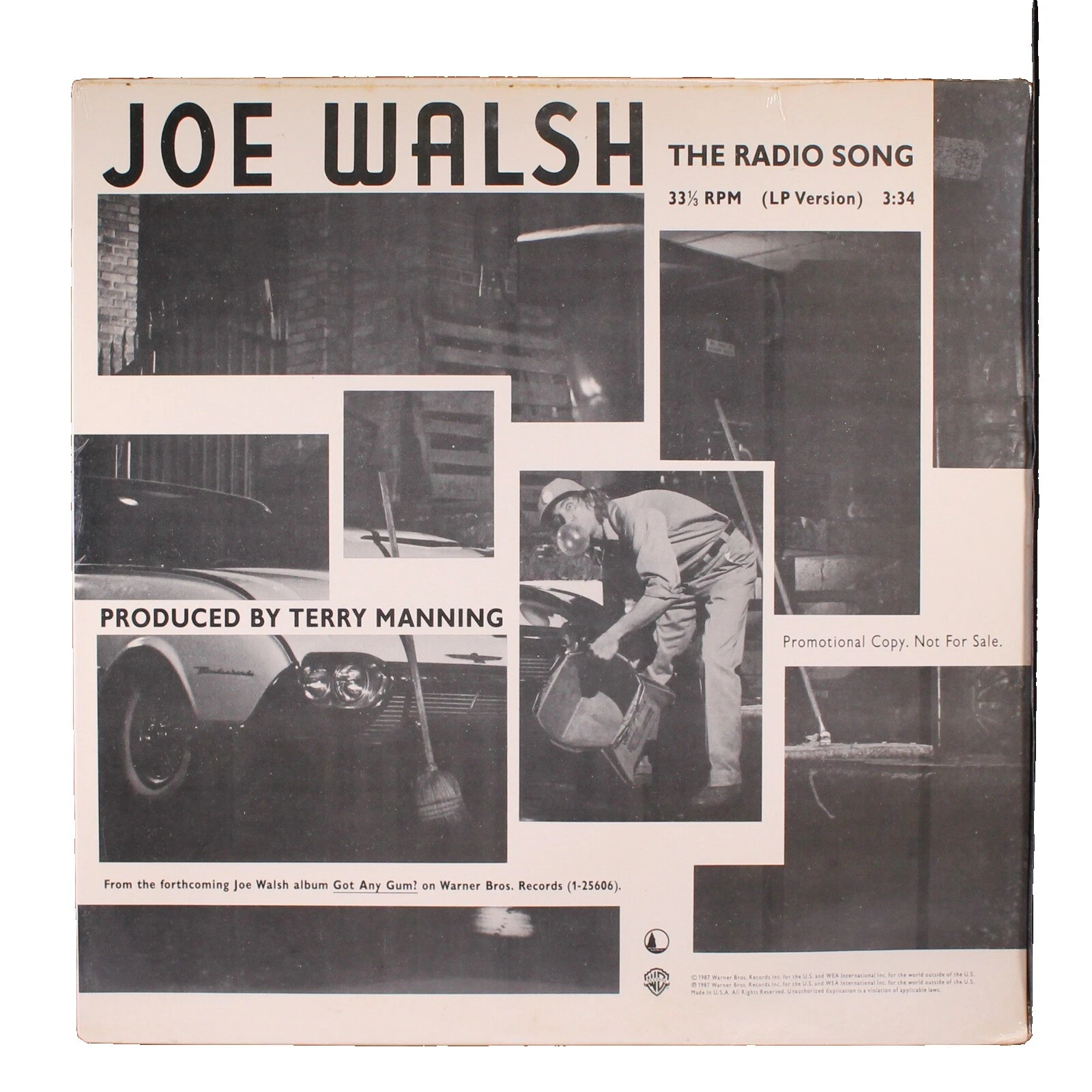 Joe Walsh Vinyl Records