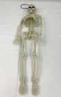 Halloween Skeleton bones Poseable Movable Joints Arms Legs Body Decoration NEW
