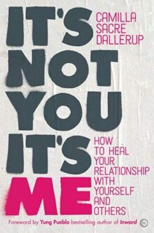 Its Not You, Its Me: How to Heal Your Relationship wit... | Buch | Zustand gut