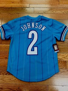 larry johnson mitchell and ness jersey