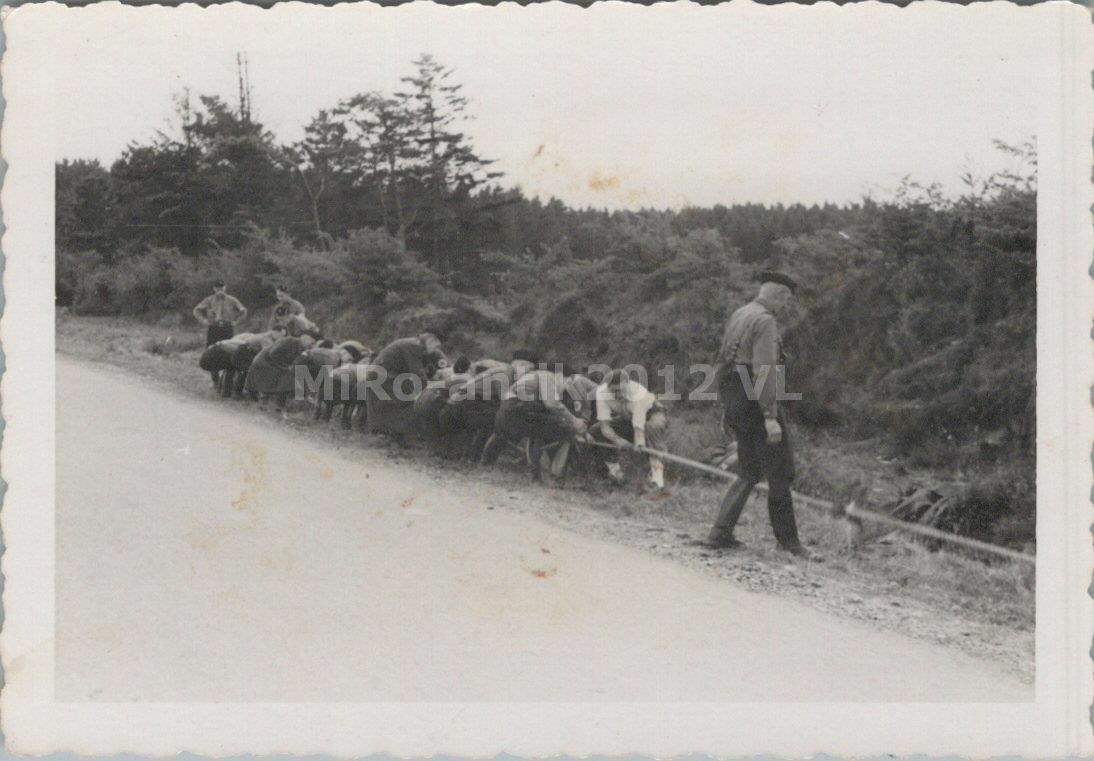 Foto, gemeinsam an einem Strang ziehen, VL(80051)