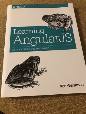 Learning Angular JS By Williamson FIRST EDITION 2015 O REILLY Paperback Free 