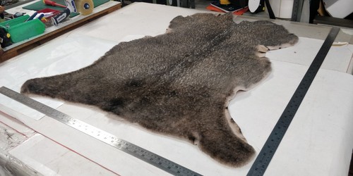Two-tone Genuine SheepSkin Seat Covers,Rugs Leather ShortPile 10mm Thick LOT4151 - Picture 2 of 9