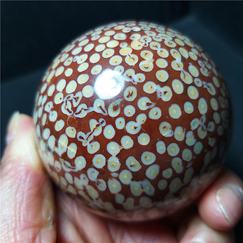 Rare 443.6G Natural Polished Coral Jade Agate Crystal Sphere Ball Healing  CB316