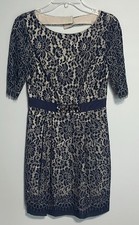 Eliza J Navy Blue And Tan Lace Dress Size 2 NWOT