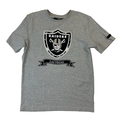 Men PRO STANDARD Las Vegas Raiders Pro Prep SJ T-Shirt | eBay