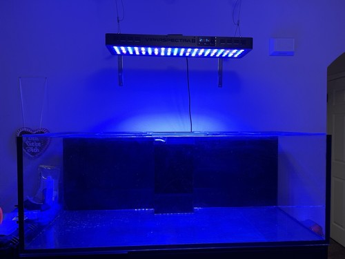 G1 Red Sea Reefer 525XL V3