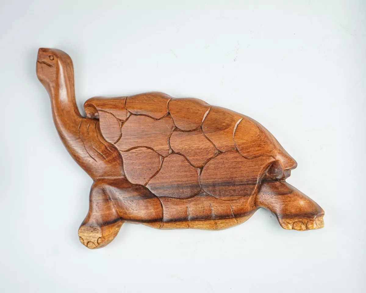 Wooden turtle 2025