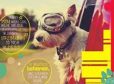 Westi * West Highland White Terrier Postcard * Postcard # 790