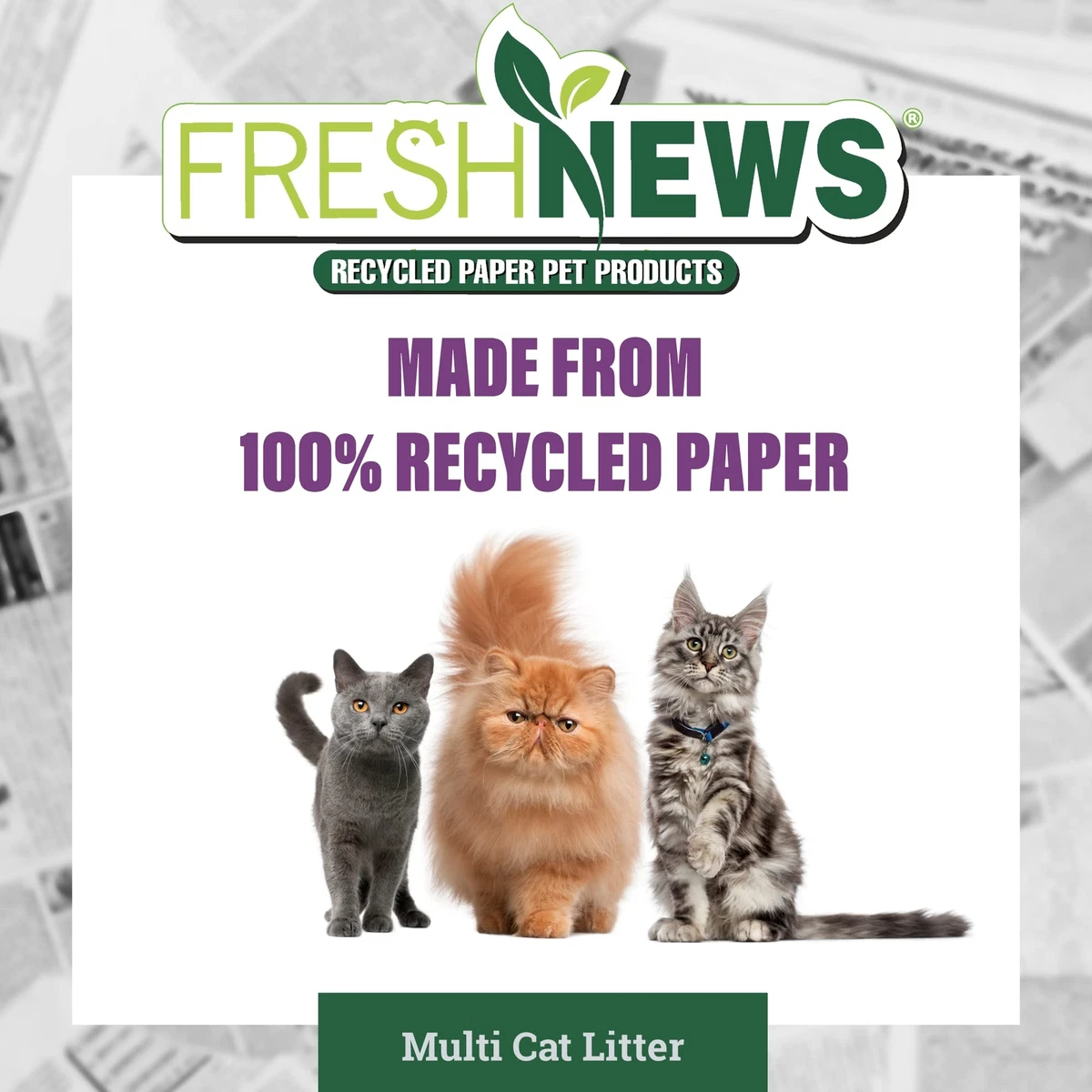 Cat litter shop made from newspaper