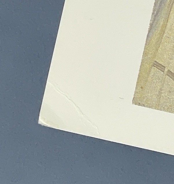 Picture 6 of 6