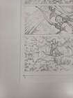 Picture 8 of 10