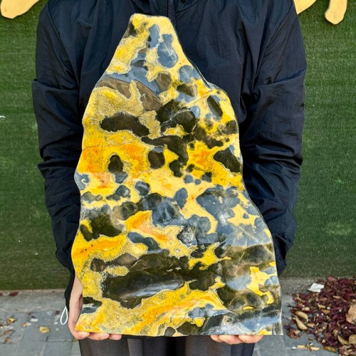 18.4LB Magic Pattern Bumblebee Ocean Jasper Quartz Crystal Specimen Healing