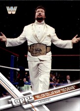 2017 Topps WWE Then Now Forever #191 Ted DiBiase Pro Wrestling Trading Card 26L1