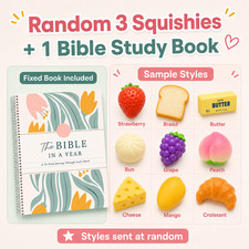 3 Random Food Squishy Toys + Bible in a Year Study Book Gift Set Stress Relief