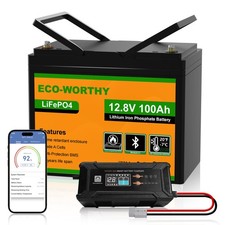 12.8V 100Ah LiFePO4 Bluetooth Batterie mit 12/24V 20A Ladegerät für Wohnmobile