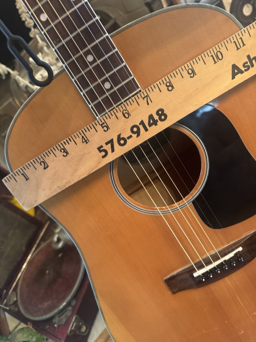 Aria AW-20N Acoustic Guitar, Grover Tuners, Custom Giraffe Print