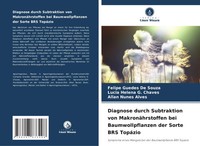 Felipe Guedes De Souza (U. A.) | Diagnose Durch Subtraktion Von...