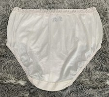 VINTAGE Nylon Granny Panties Sheer Lace Panty Fruit of the Loom Champagne Sz 10