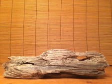 Beautiful 12" DRIFTWOOD Piece Art Terrarium Taxidermy Aquarium Reptile DECOR