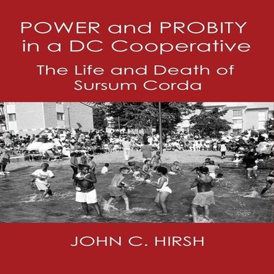 POWER AND PROBITY IN A DC COOPERATIVE The Life and Death of Sursu