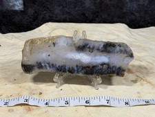 A+ Snake River Dendritic Agate Slab, Lot #298