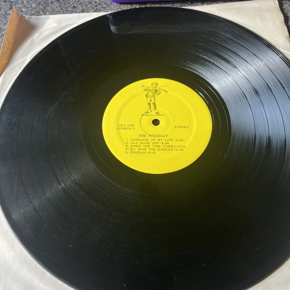 The Prodigy “Climbing The Sky” Vinyl Record LP Vintage/Rare Find! - Image 2 of 4