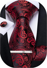 Paisley Ties for Men Silk Necktie and Pocket Square Cufflinks Tie Clip Set Woven