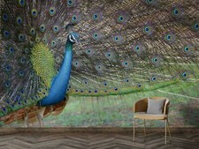 3D Peacock Spread Tail Wallpaper Wall Mural Removable Self-adhesive 30