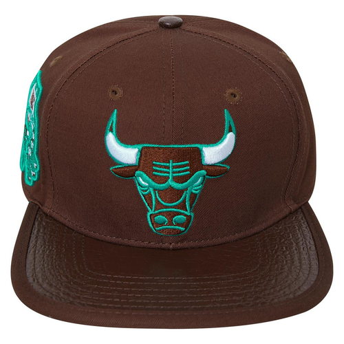 Buy Pro Standard Brown NBA Chicago 