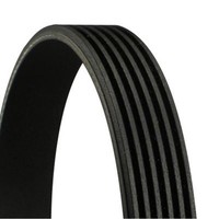 Continental Ctam Keilrippenriemen 6PK2498 Passend FüR Audi A4 A5 A6 Q5 Ford USA