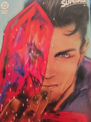 Superman The Kryptonite Spectrum #1  DC Variant Cover T. Lotay Bagged & Boarded
