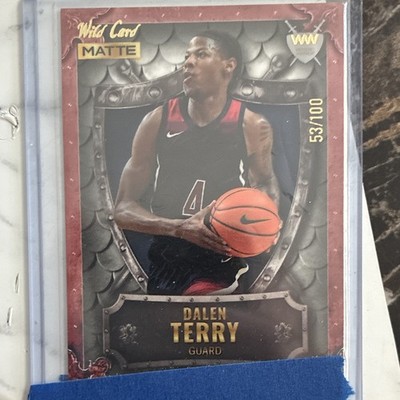 Wild Card Matte Draft Weekend Warrior Dalen Terry WW-9 Serial Numbered /100