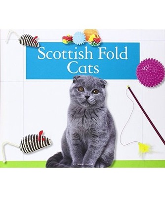 Scottish Fold Cats, Tammy Gagne
