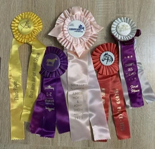 Lot Of 5 Vintage Pony Horse Equestrian Show Ribbons 1970s