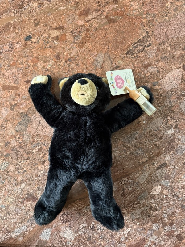 Cubby Bear Dark Brown Battery Operated Drink Bottle Sucking Noises & Giggles