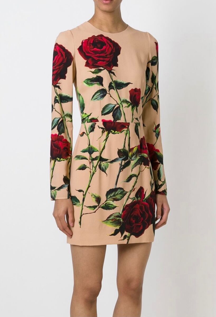 Brand New Dolce Gabbana Rose Print Shift Dress 36 | eBay Brand New Dolce Gabbana Rose Print Shift Dress 36 | eBay