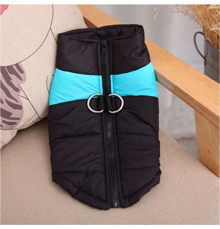 ARC'TERYX Abbigliamento vestito giacca a vento impermeabile bomber invernale per cane