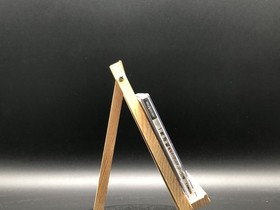 Ippatsu Gyakuten ~Gambling King he no Michi~ (Sega Saturn,1996) from japan