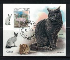 BF SUR LES CHATS (GATOS) 2019, ANGOLA