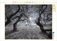 Calvendo Puzzle South Toward The Winter Sun | 1000 Pieces, Finished Size 25.2 ×