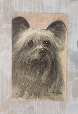 Carte Postale Ancienne Fantaisie Illustrée Chien Skye Terrier Édition Stehli